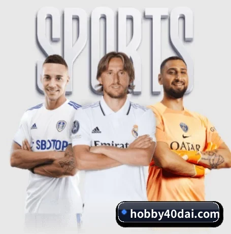 平台简介